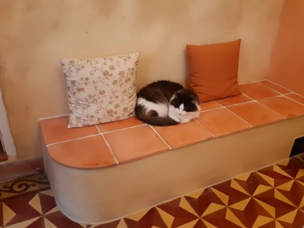 Réalisation de poêle de masse 15